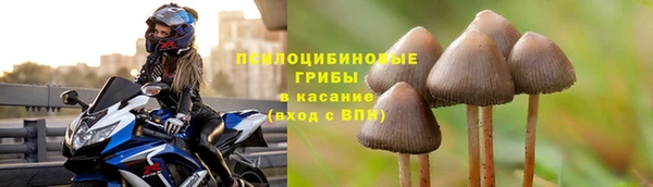 MDMA Козловка