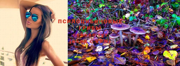 MDMA Козловка