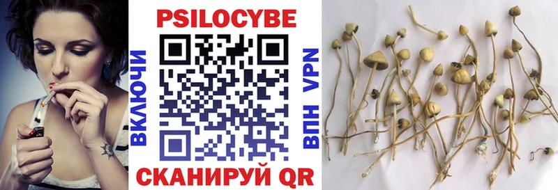 Псилоцибиновые грибы GOLDEN TEACHER  Купить где  Бабаево 